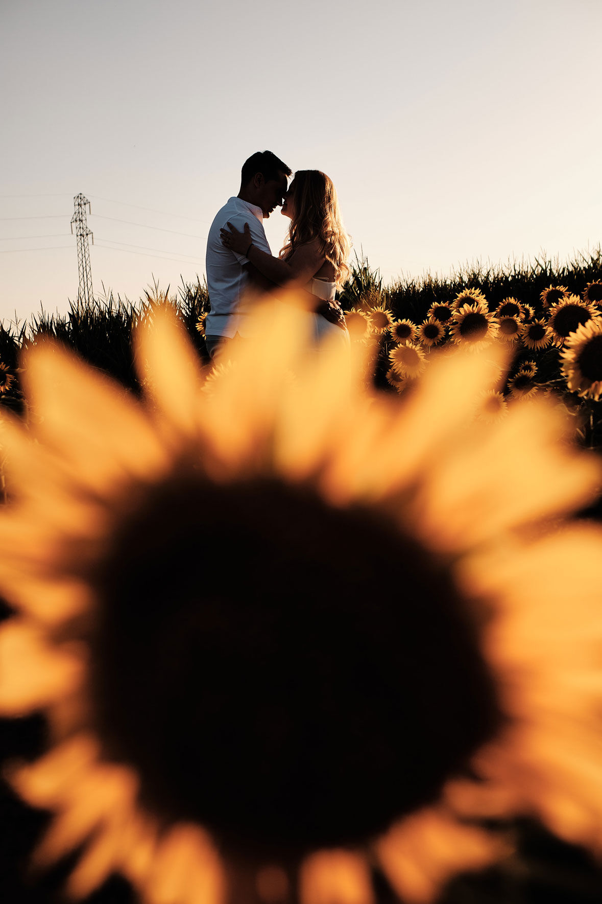 Jesús Rebate Enrique Rebate - foto-preboda-entre-girasoles-novios-atardecer-rebatestudio.jpg