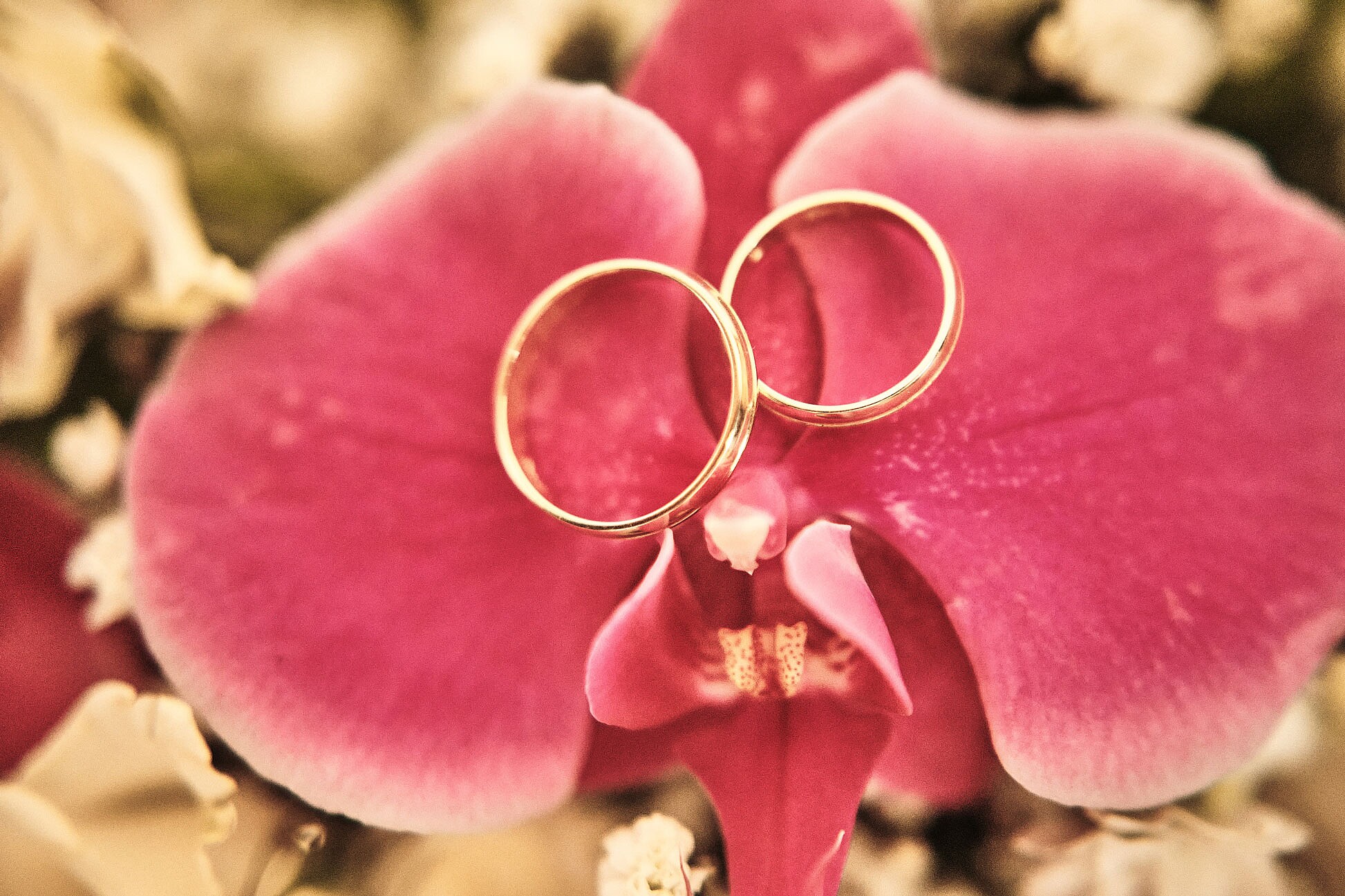 boda en castillo del buen amor ceremonia en el patio de armas y baile con castillo rebatestudio012