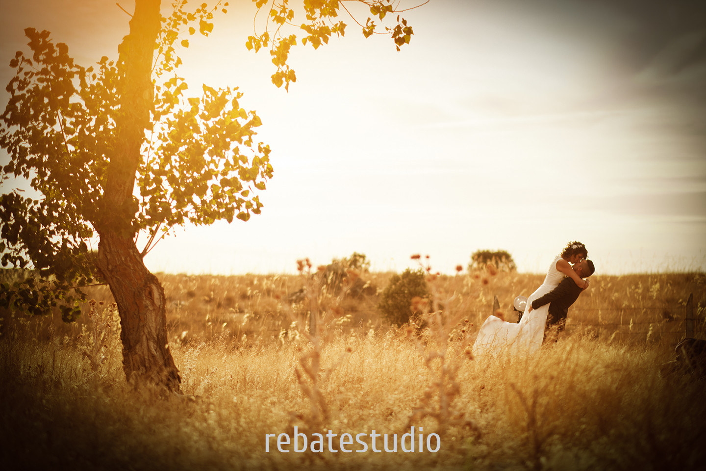 rebate studio 21